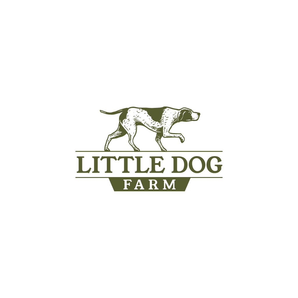 Logo Design by Jerwin Intac for this project | Design #35720764