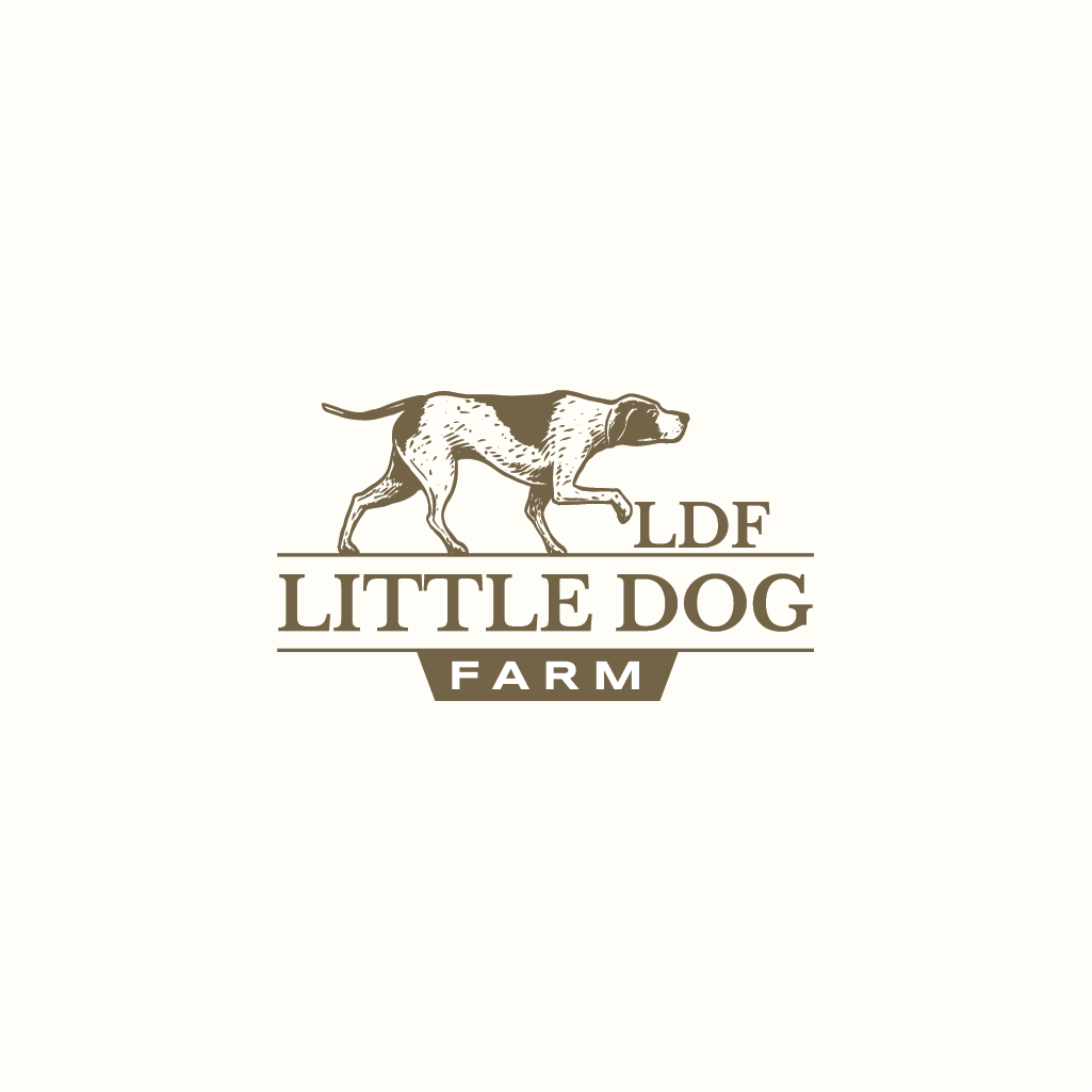 Logo Design by Jerwin Intac for this project | Design #35720792