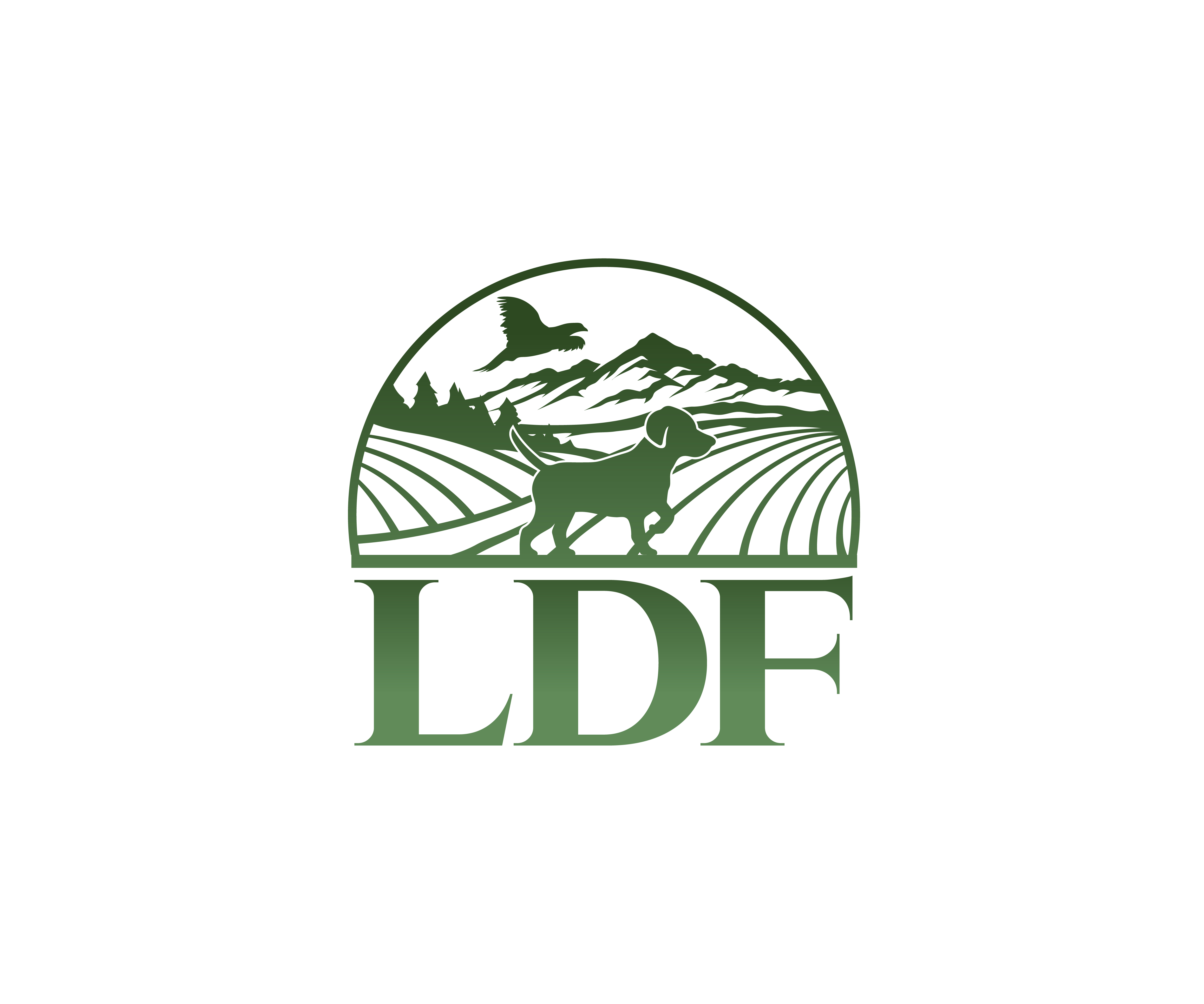 Logo Design by James J. for this project | Design #35644134