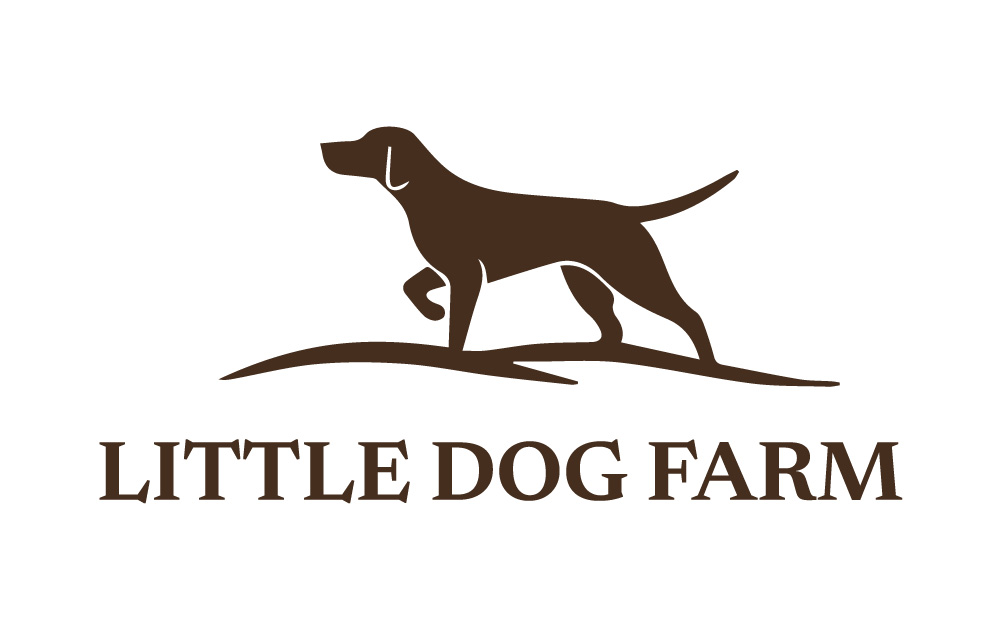 Logo Design by Abhinav | Creative Artist for this project | Design #35700594