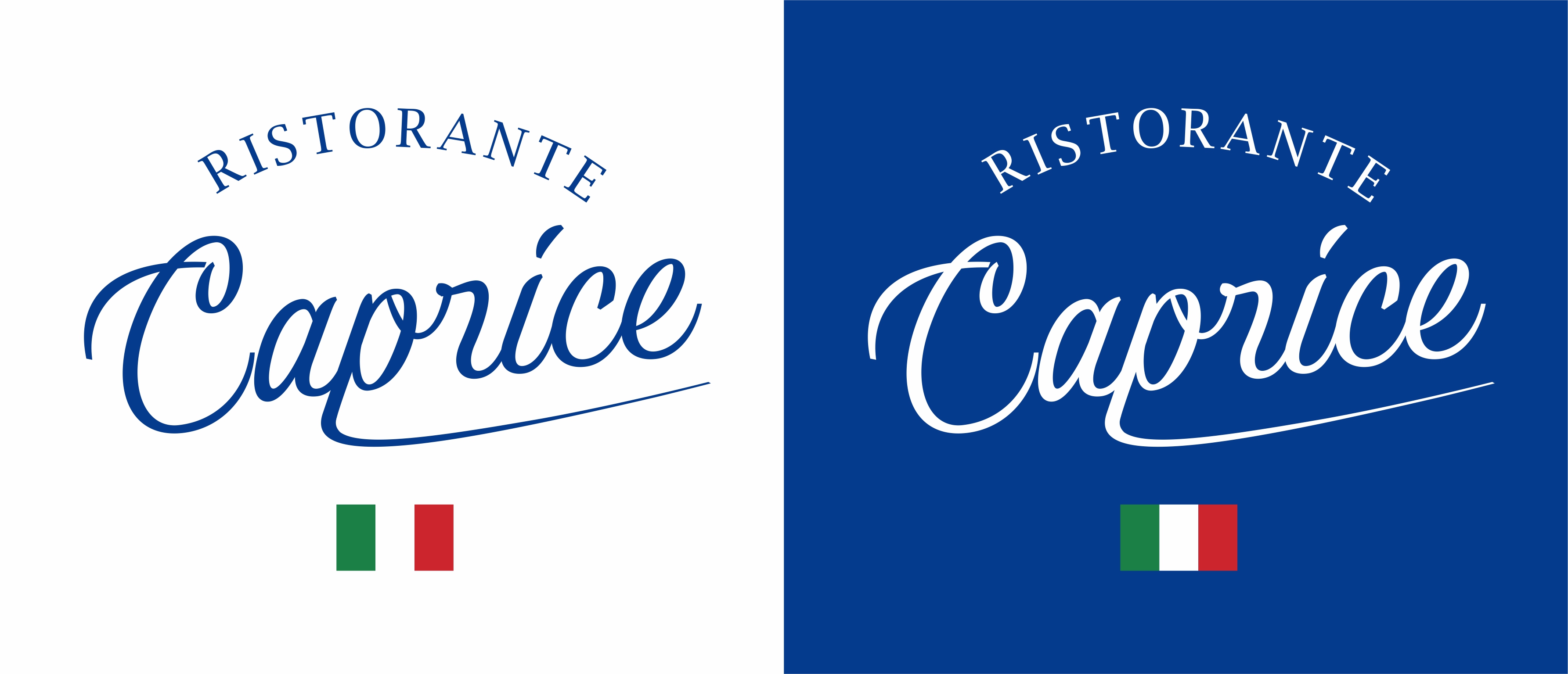 Logo Design by Borago for this project | Design #35651242