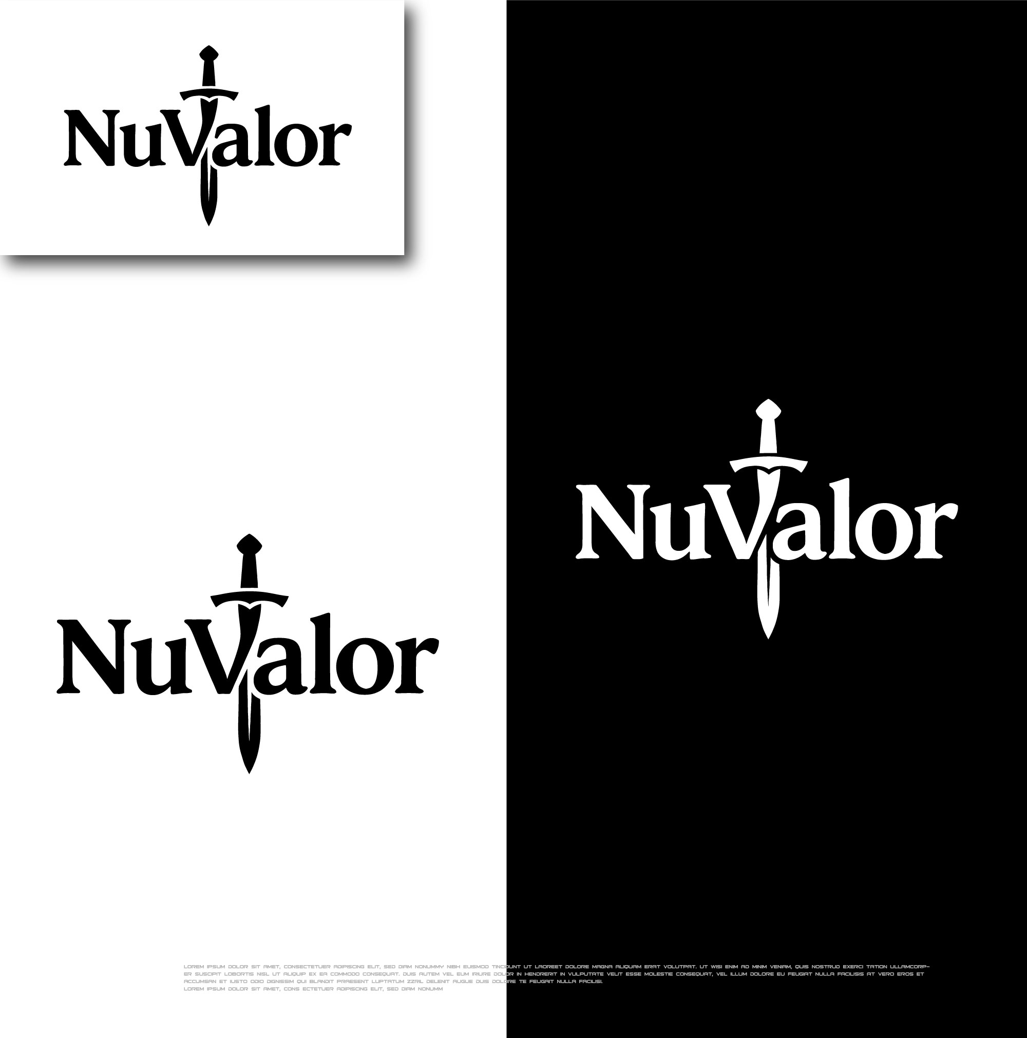 Logo Design by jijan for NuValor LLC | Design #35666606