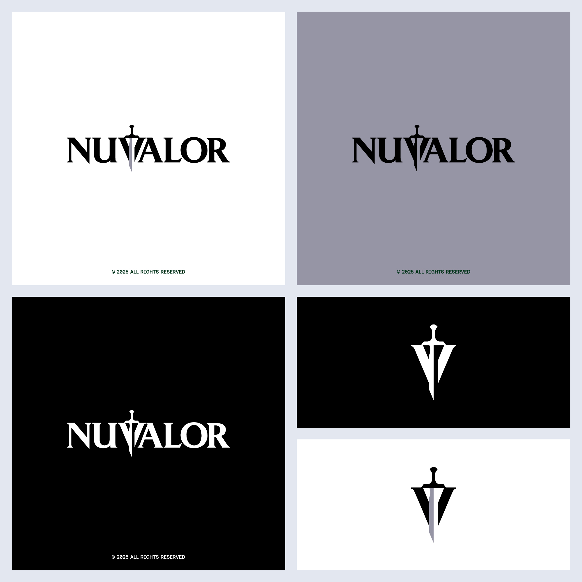 Logo Design by san_D for NuValor LLC | Design #35649781