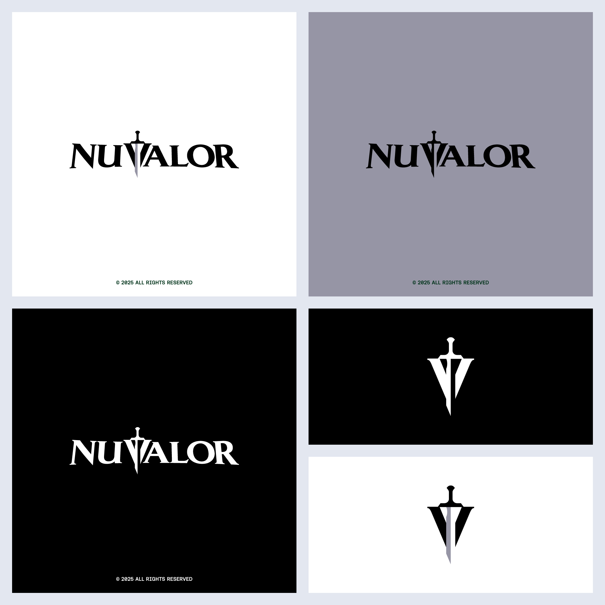 Logo Design by san_D for NuValor LLC | Design #35649782