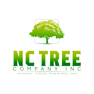 Logo Design by NatalF87