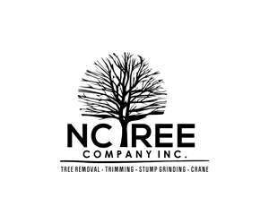 Logo Design by Pachakuthira for this project | Design: #35696798