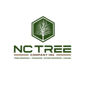 Logo Design by Axis media
