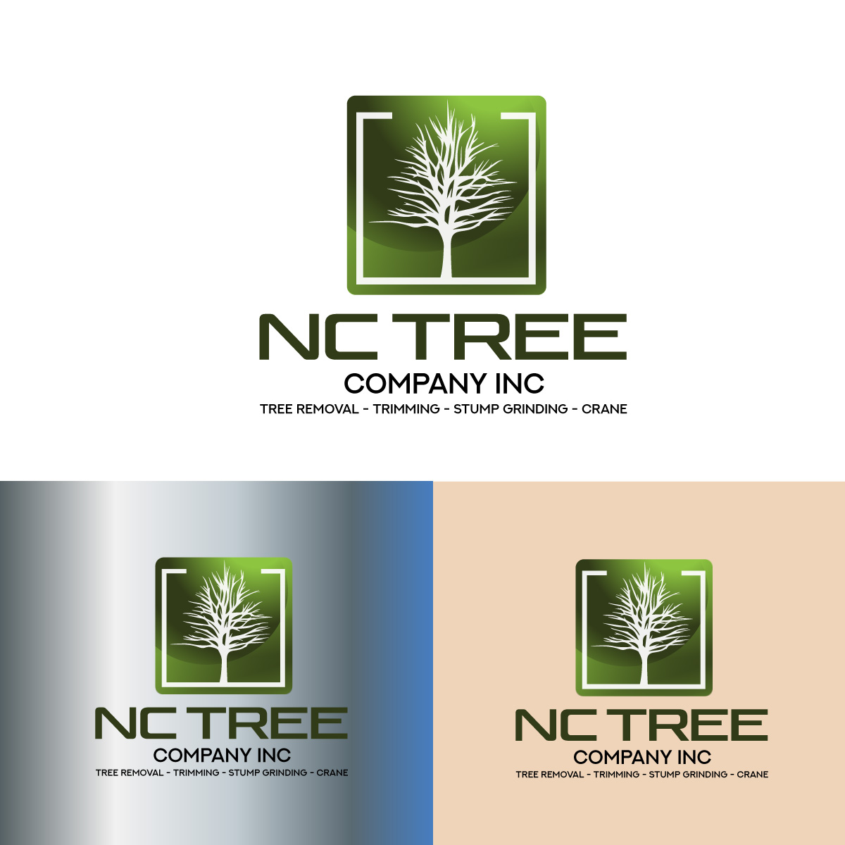 Diseño de Logo por fly  design para este proyecto | Diseño #35660195