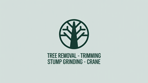 Logo Design by USIAD ANAS for this project | Design: #35661877