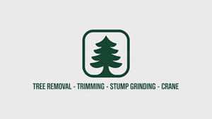 Logo Design by USIAD ANAS for this project | Design: #35661878