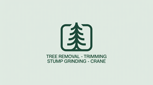 Logo Design by USIAD ANAS for this project | Design: #35661879