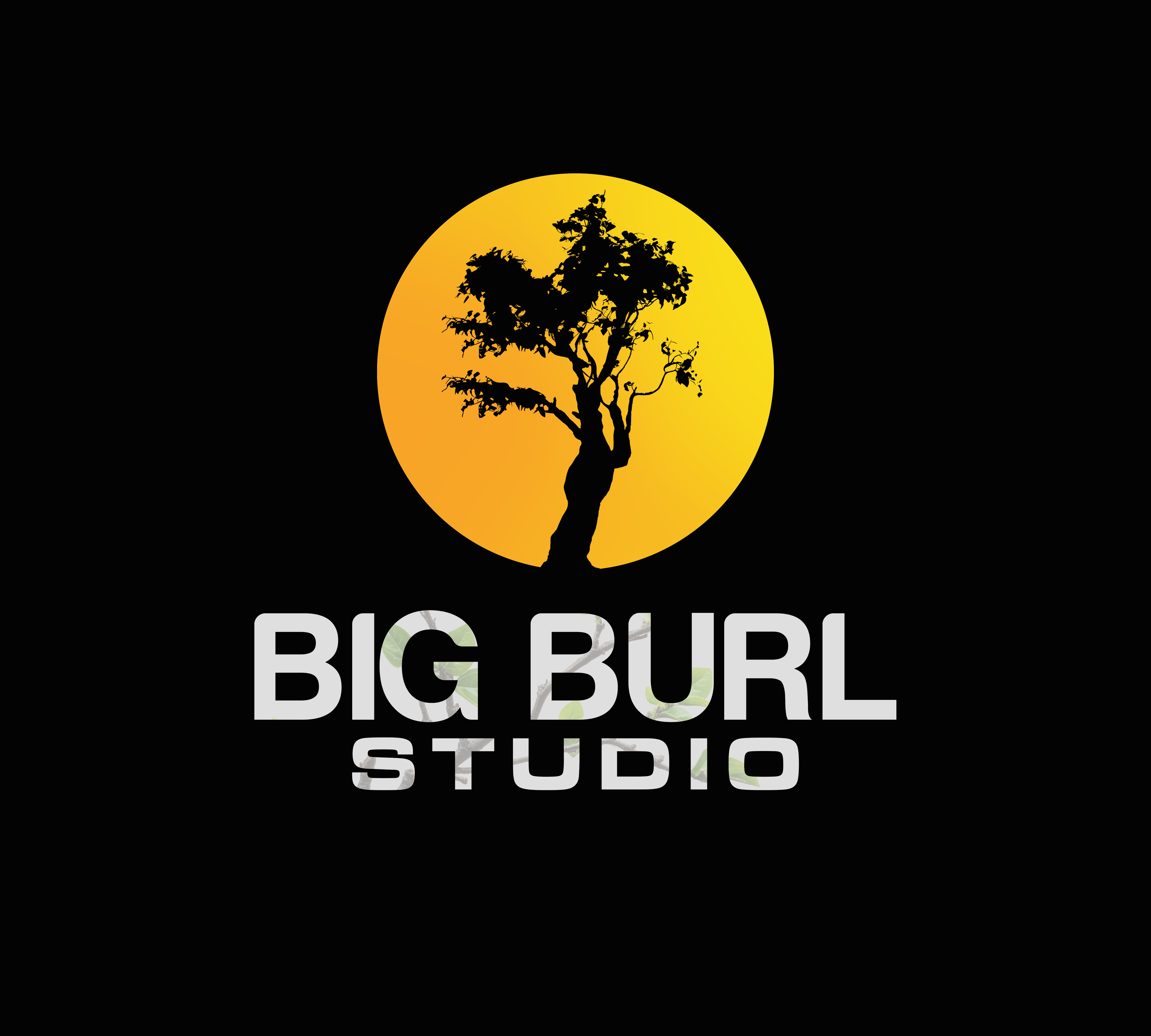 Logo-Design von Burhan Art für dieses Projekt | Design #35693203