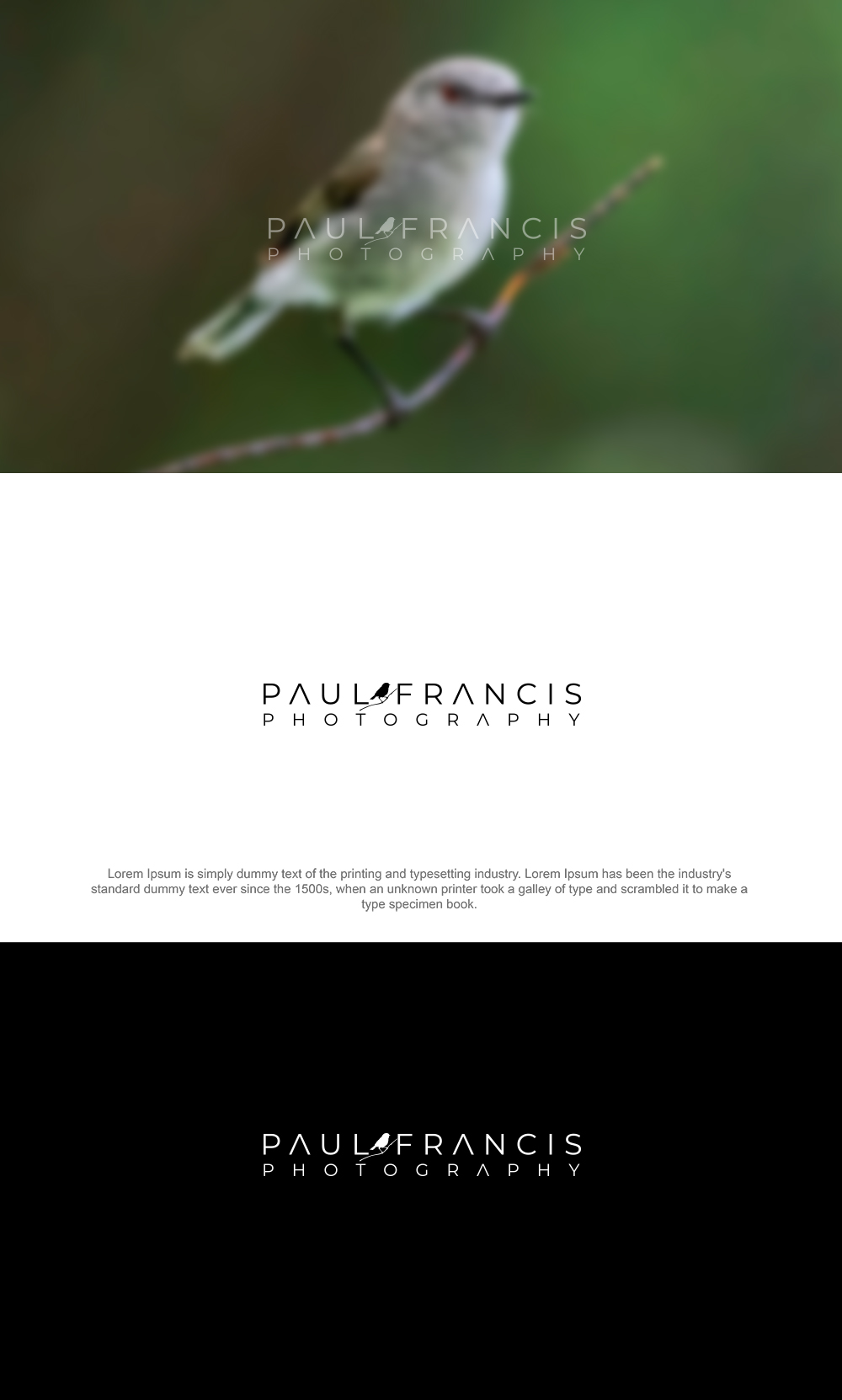 Logo-Design von DesignSNW für Trilogy Group Limited | Design #35673297