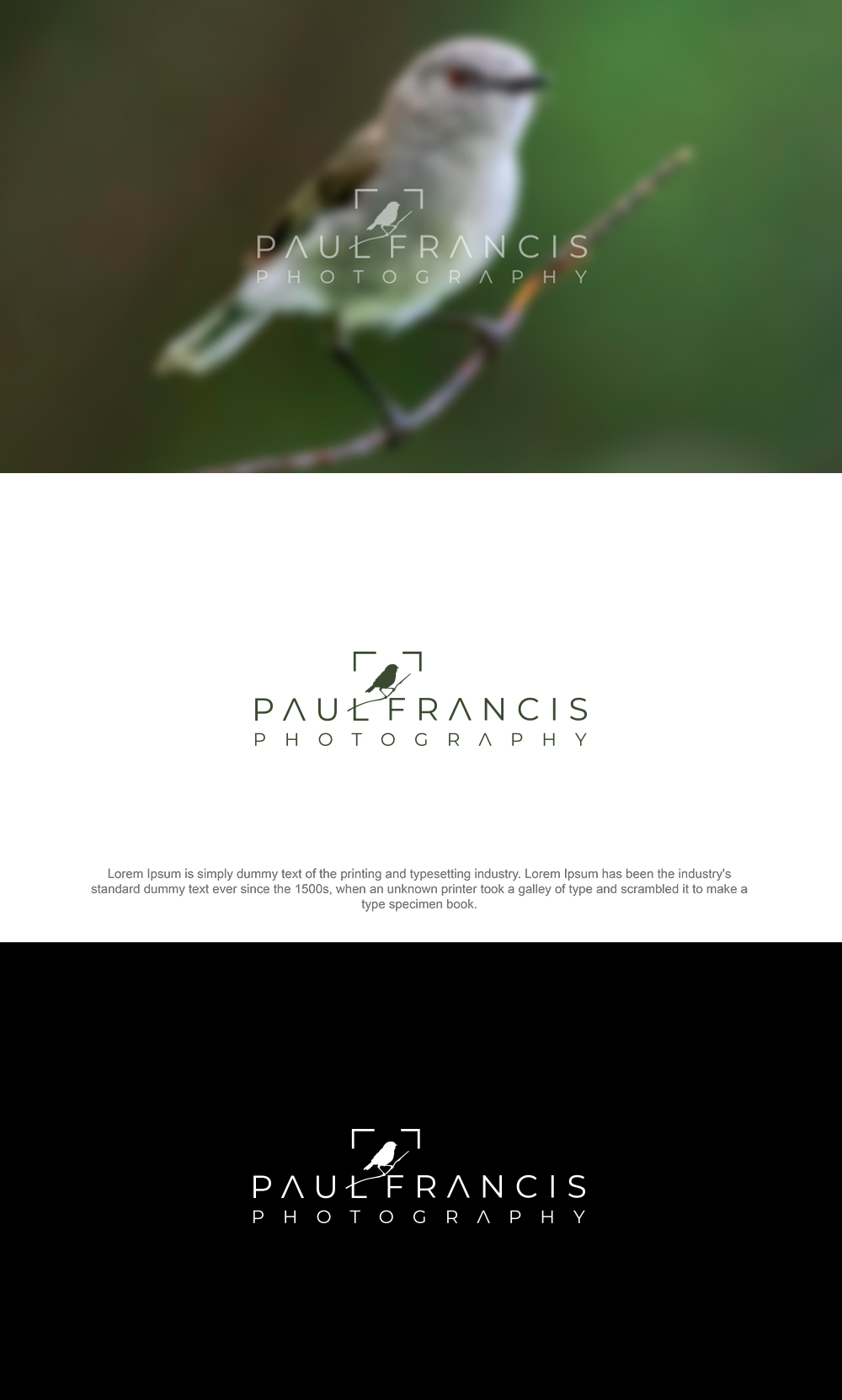 Logo-Design von DesignSNW für Trilogy Group Limited | Design #35673438