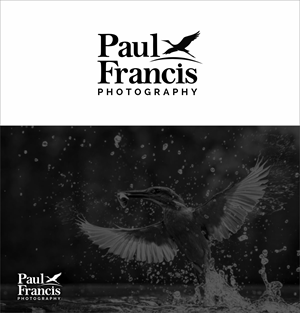 Logo Design by Rajneesha for Trilogy Group Limited | Design: #35665609