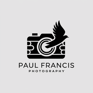 Logo Design by Ar_nisam_usman for Trilogy Group Limited | Design: #35663414