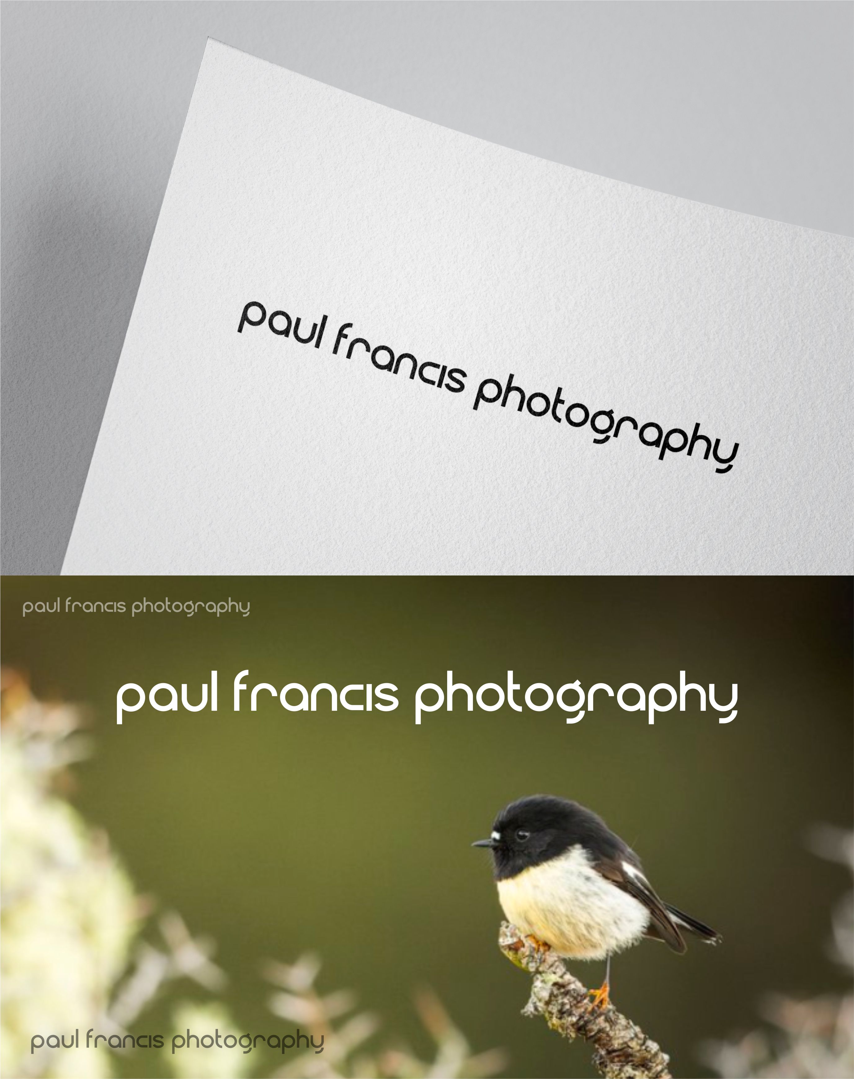 Logo Design by SR Graphics G for Trilogy Group Limited | Design #35668353