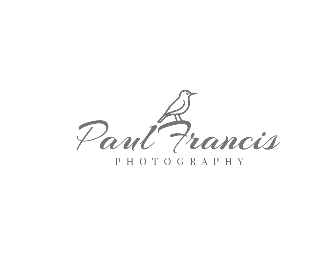 Logo-Design von AlphaDezin3 für Trilogy Group Limited | Design #35663479