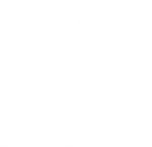 Logo-Design von Sajee. für dieses Projekt | Design: #35725389