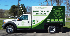 Car Wrap Design by typefdesign for this project | Design #35709643