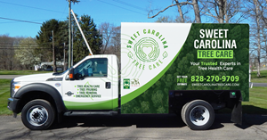 Car Wrap Design by typefdesign for this project | Design: #35710058