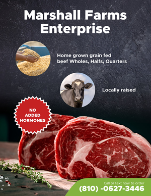 Diseño de Flyer por nng para este proyecto | Diseño #35672386