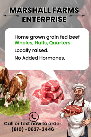 Flyer Design by Creations Box 2015 for this project | Design: #35675975