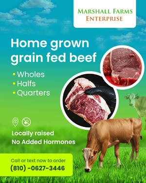 Flyer Design by Creations Box 2015 for this project | Design: #35676256