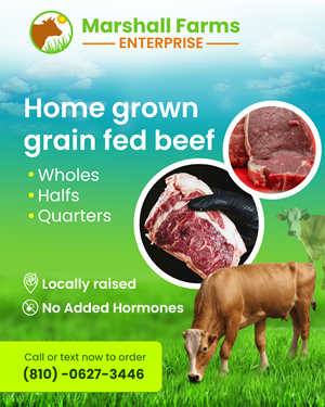 Flyer Design by Creations Box 2015 for this project | Design: #35676502