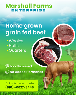 Flyer Design by Creations Box 2015 for this project | Design: #35679220