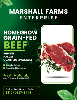 Flyer Design by Fusionex Studio for this project | Design: #35671491