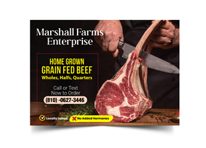 Flyer Design by meet007 for this project | Design: #35675089