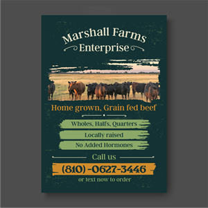 Flyer Design by ThiagoB for this project | Design: #35671613
