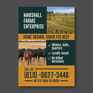 Flyer Design by ThiagoB for this project | Design: #35671614