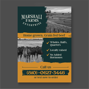Flyer Design by ThiagoB for this project | Design: #35671615