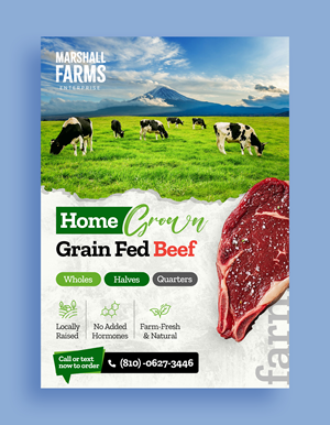 Diseño de Flyer por Graphic Guy para este proyecto | Diseño #35675631