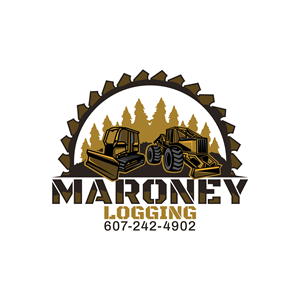 Logo Design by Jhannel55