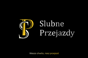 Logo Design by Vedu Designs