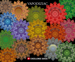 Graphic Design by Sergio Coelho for this project | Design: #35716780