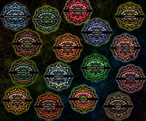 Graphic Design by Javelin Studio