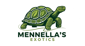 Logo Design by HSL Brain for this project | Design: #35689831