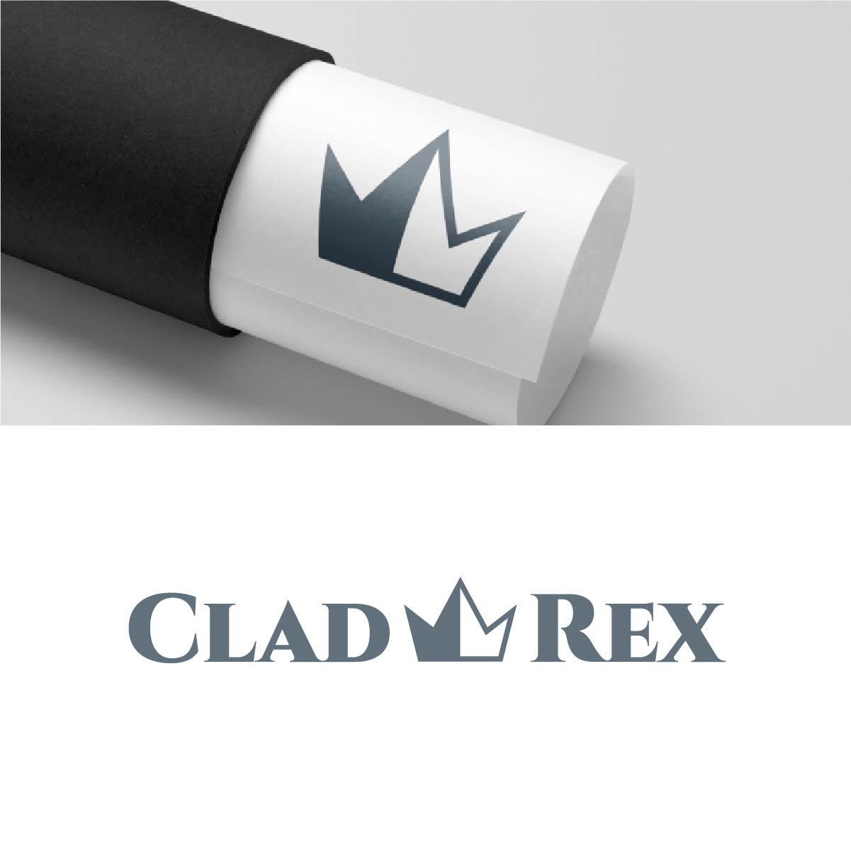 Logo Design by fly  design for this project | Design #35717992