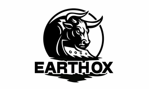 Logo Design by Borago
