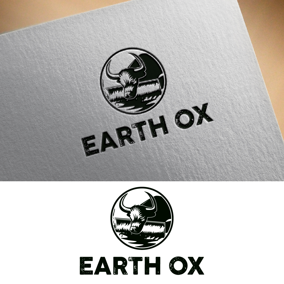 Logo Design by fly  design for this project | Design #35690190