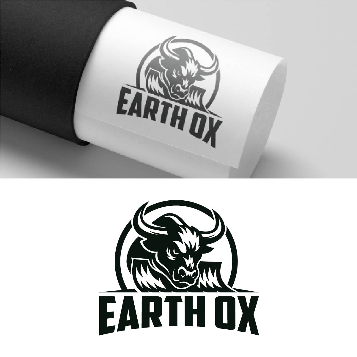 Logo Design by fly  design for this project | Design #35690195