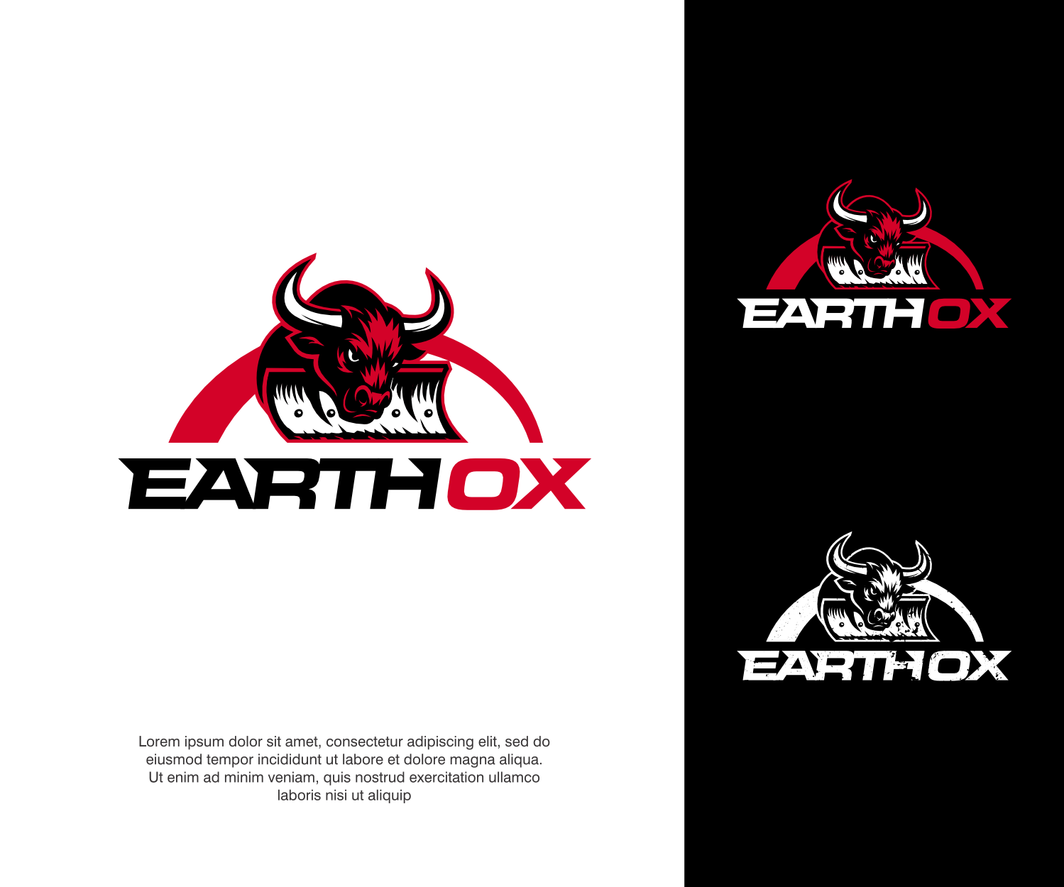 Logo Design by ThiagoB for this project | Design #35684920
