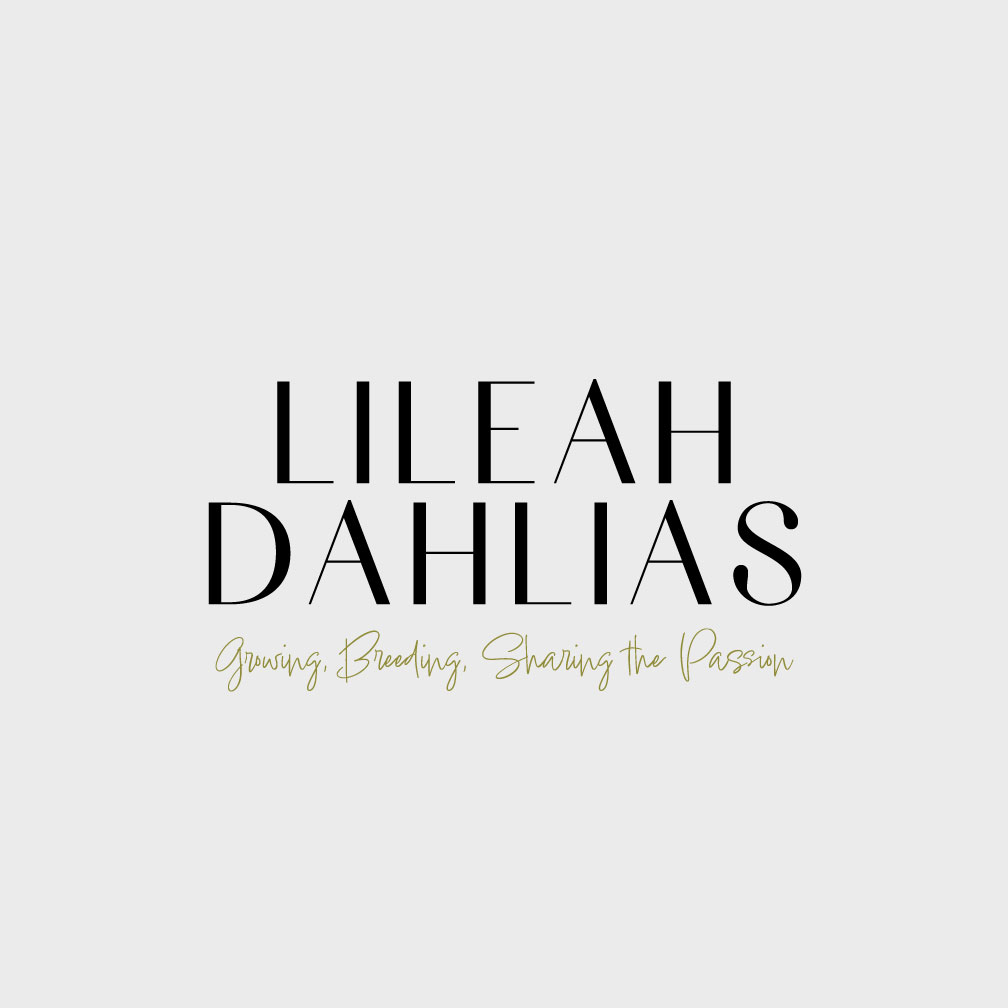 Logo Design by Franabanana for this project | Design #35692043