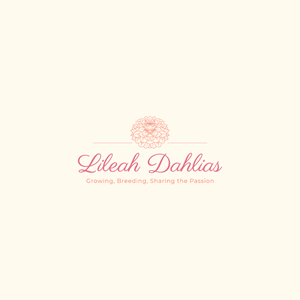 Logo Design by Jerwin Intac