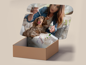 Graphic Design by Navisol Creatives for this project | Design: #35691743