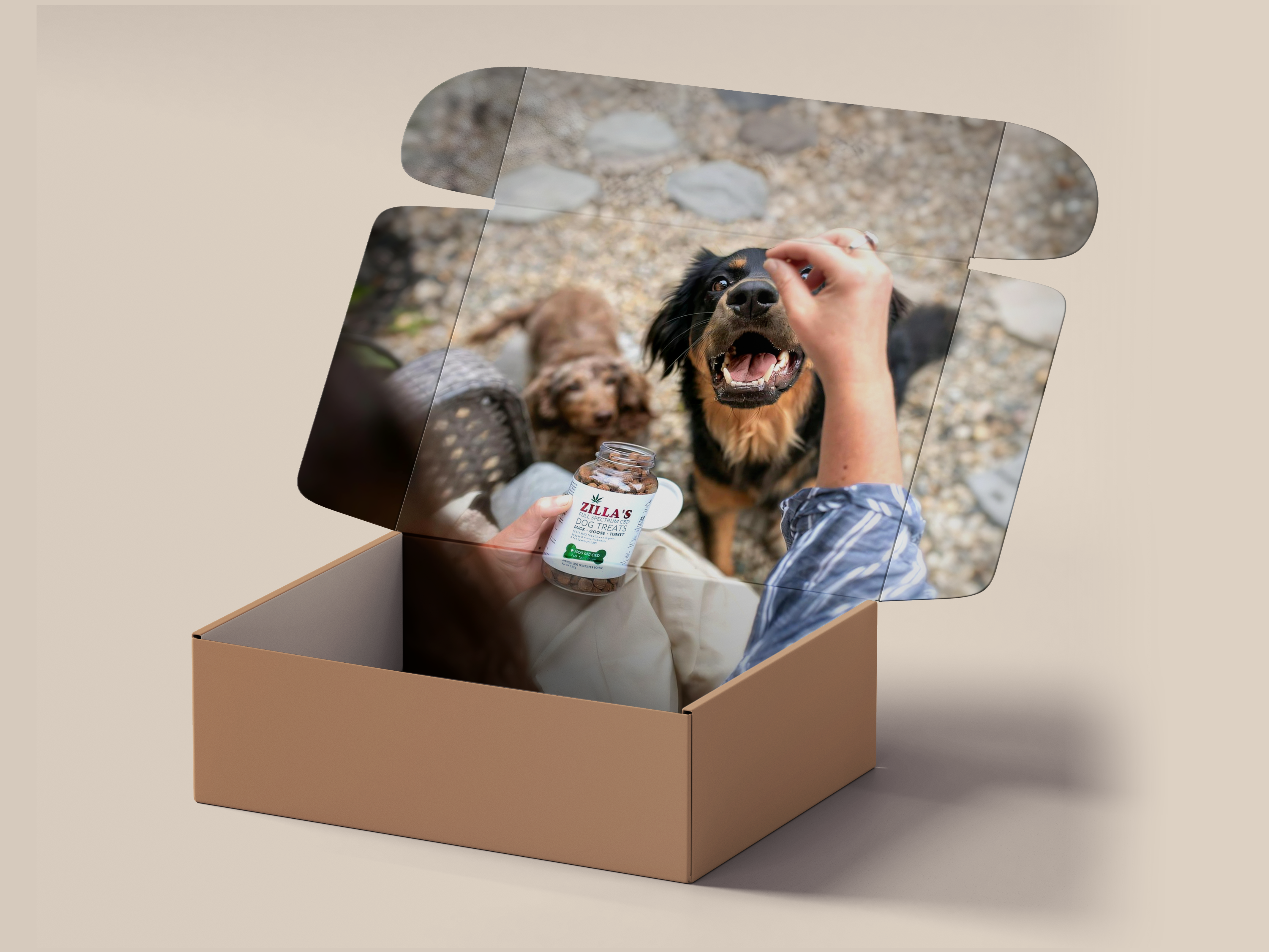 Graphic Design by Navisol Creatives for this project | Design #35691745